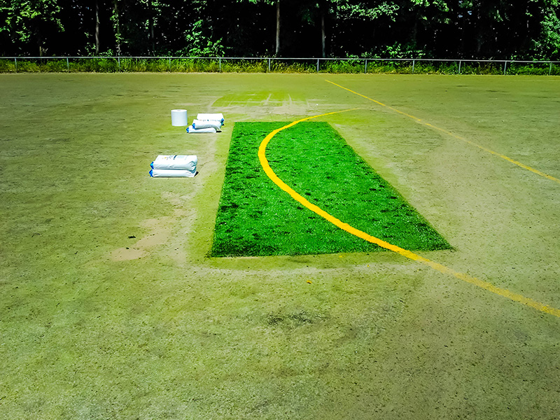 Zusatzleistungen Kunstrasenreinigung